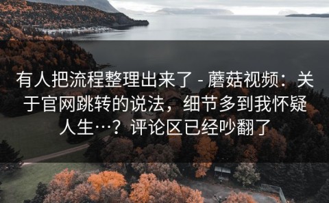 有人把流程整理出来了 - 蘑菇视频：关于官网跳转的说法，细节多到我怀疑人生…？评论区已经吵翻了