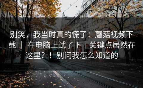 别笑，我当时真的慌了：蘑菇视频下载 ｜ 在电脑上试了下｜关键点居然在这里？！别问我怎么知道的